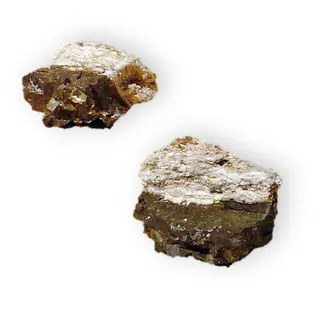 Shortite Sodium calcium carbonate Green River Sweetwater Co Wyoming 1587.jpg