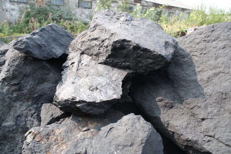 Shungite (1)