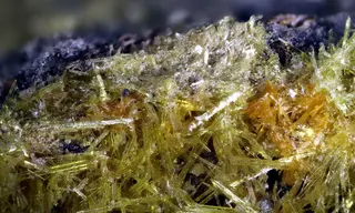 Sklodowskit, Nabarlek Mine, Alligator Rivers Region, Northern Territory, Australien, Bildbreite 5,8 mm.jpg