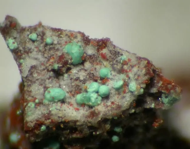 Eriochalcite-88986.jpg