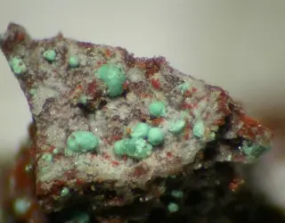 Eriochalcite-88986.jpg