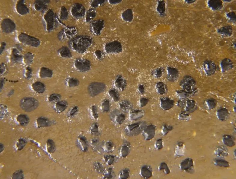 Kashinite & Erlichmanite & Laurite.jpg