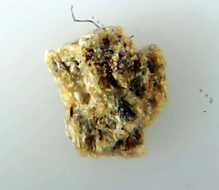 Ershovite.jpg