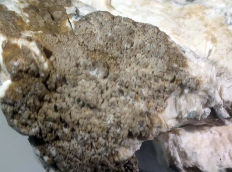 Esquireite & Sanbornite.jpg