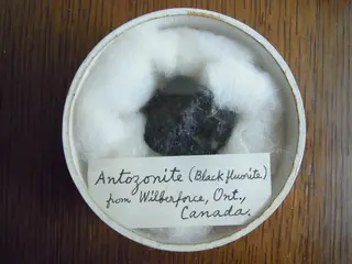 Antozonite Wilberforce.jpg