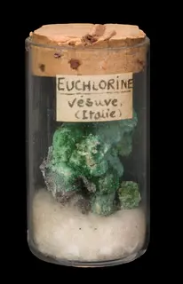 Euchlorine-808837.jpg