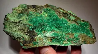 Euchroite-157375.jpg
