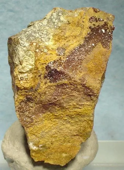 Eulytine-120667.jpg