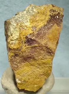 Eulytine-120667.jpg