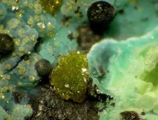 Eulytine-Namibite-122716.jpg