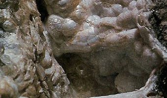 Evansite