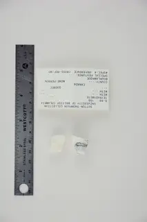 Tetradymite (46200379674).jpg