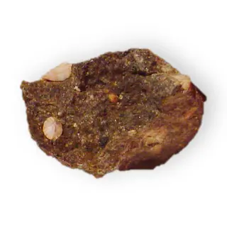 Thomsonite in Basalt Hydrous calcium sodium aluminum silicate Grand Marais Cook Minnesota 1884.jpg