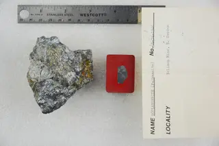 Boulangerite (Falkmanite) (47122251914).jpg