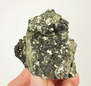 Famatinite, Pyrite-418696.jpg