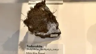 Harvard Museum of Natural History. Todorokite.jpg