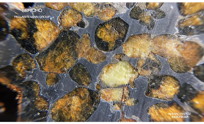 Sericho Pallasite.png