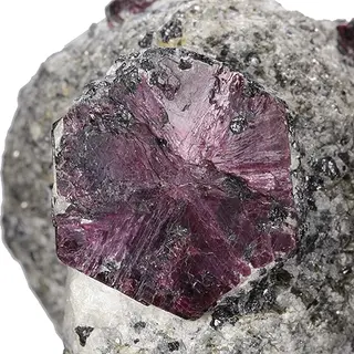 Corundum (Variety trapiche ruby)-649830.jpg