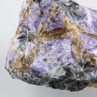 Charoite, Aegirine, Fedorite-1561.jpg