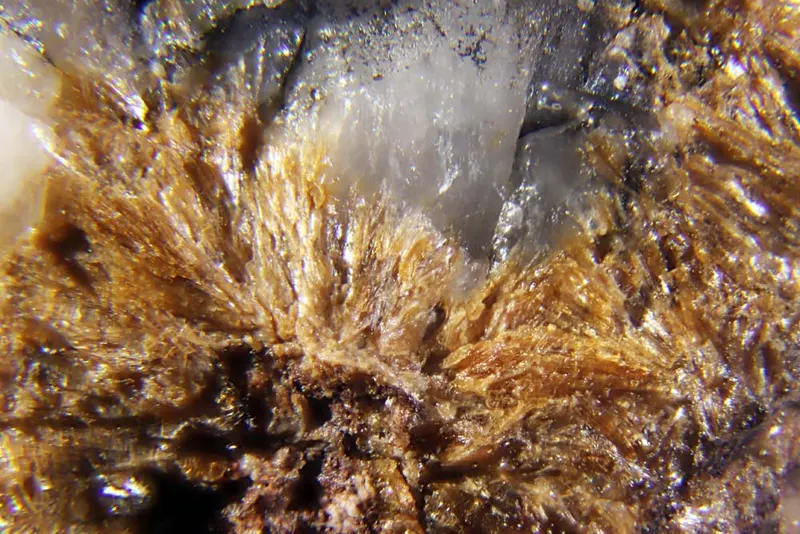 Fedorovskite.jpg
