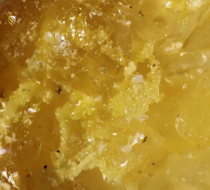 Feinglosite