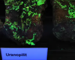 Uranopilit mit Fluoreszenz2.jpg