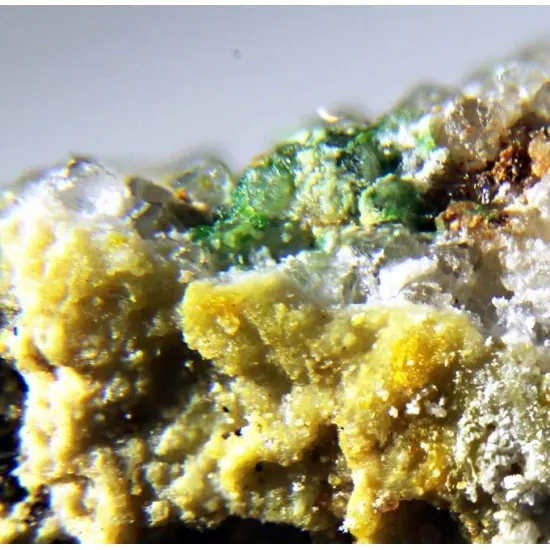 Pintadoite & Fernandinite.jpg