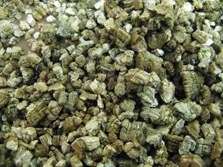 Vermiculite1.jpg