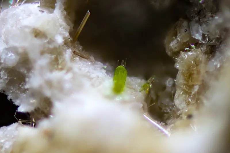Mnobertiiet andrerobbemond0,3mm-1.jpg