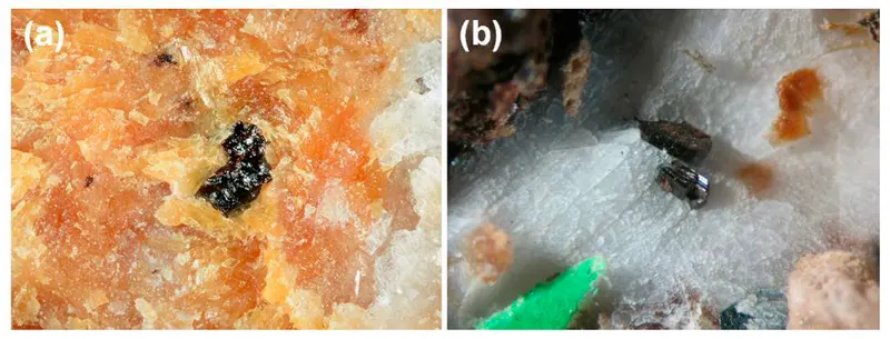 Holotype material of manganiakasakaite-(La) and ferriakasakaite-(Ce).png
