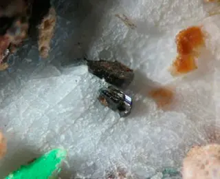 Holotype material of manganiakasakaite-(La) and ferriakasakaite-(Ce) (cropped) II.png