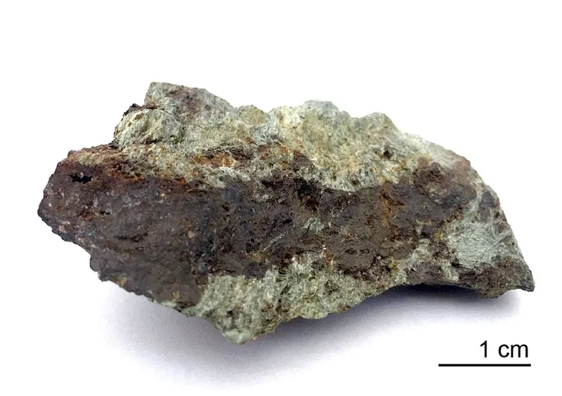Ferriallanite-(Ce).webp