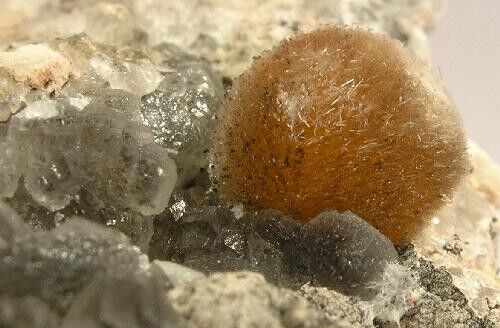 Ferrierite-Mg