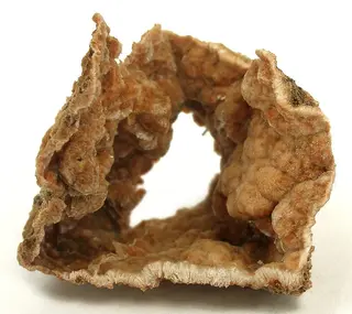Ferrierite-Na-sea74a.jpg