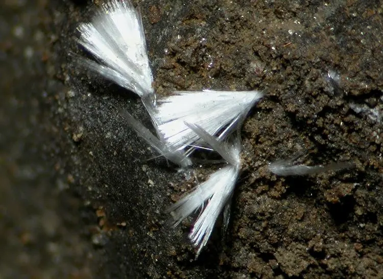 Ferrierite-Na-93931.jpg
