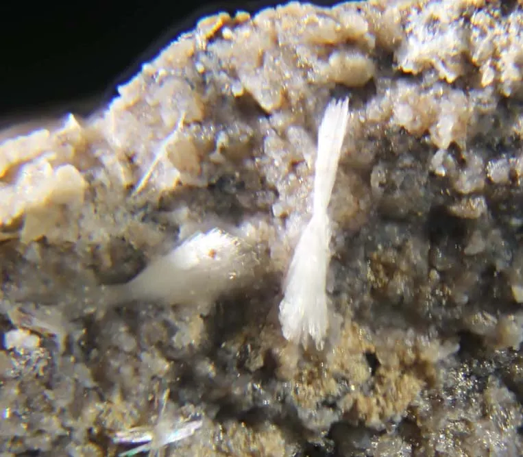 Ferrierite-NH4.jpg