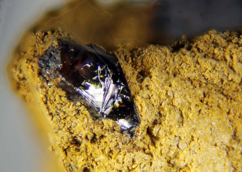 Ferripyrophyllite.jpg