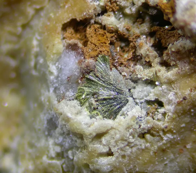 Ferrisurite-616892.jpg