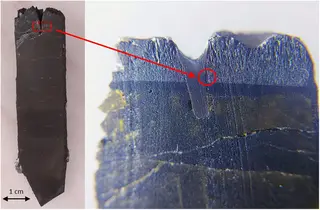 Holotype fragment of ferro-bosiite.png