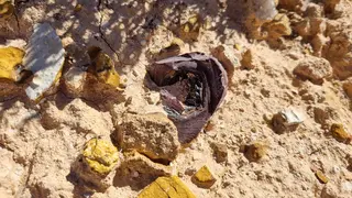 Cracked Yowah Nut.jpg