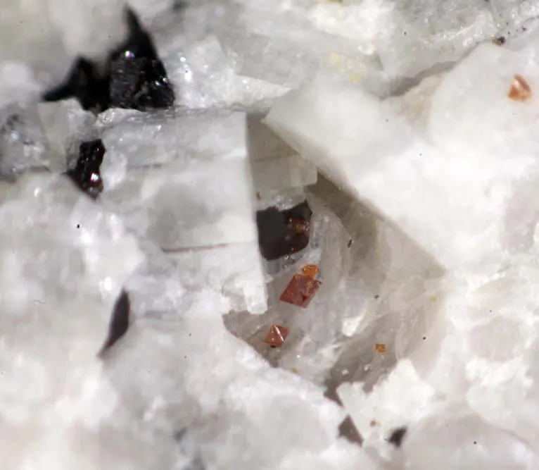 Ferro-katophorite.jpg