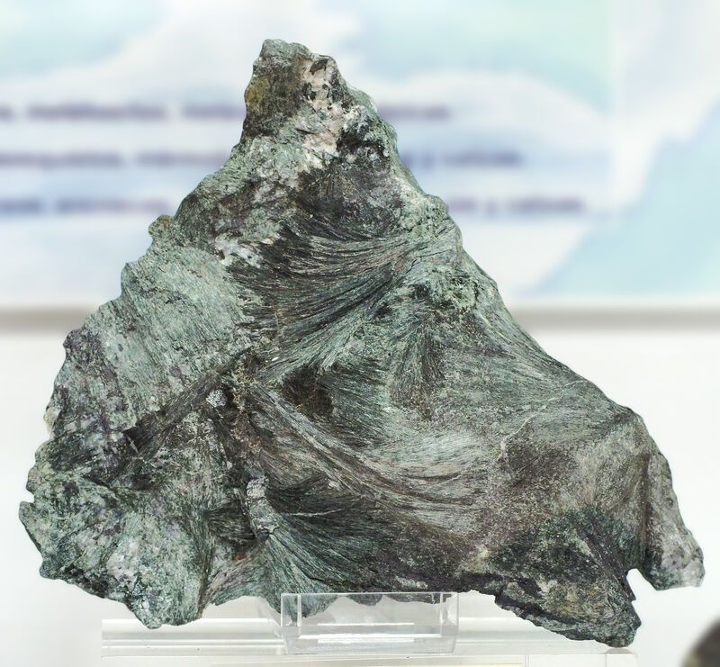 Ferro-pargasite