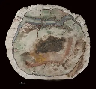 Agate