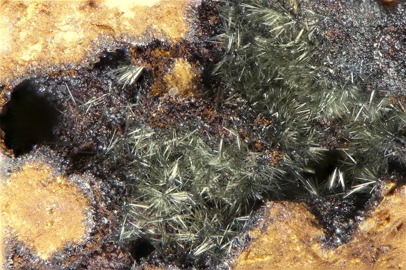 Ferroberaunite in olive-green acicular crystals on ‘limonite’ matrix.png
