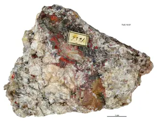 Native Amalgam