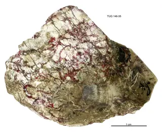 Native Amalgam