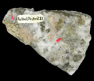 Gold-Bustamite-Ferrobustamite-261601.jpg