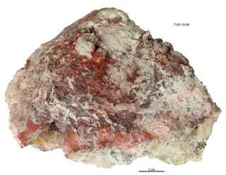 Native Amalgam