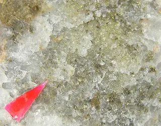 Gold-Bustamite-Ferrobustamite-261602.jpg