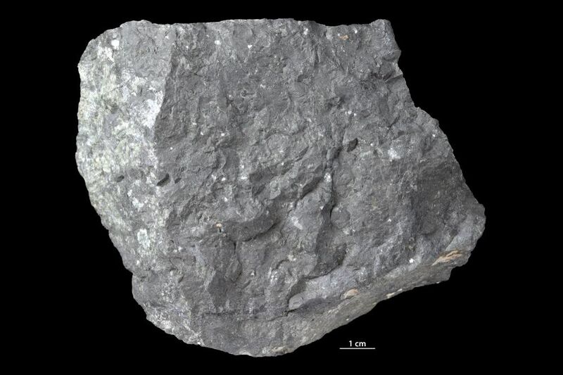 Bronzite
